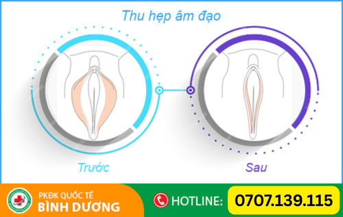 Untitled design (22).png